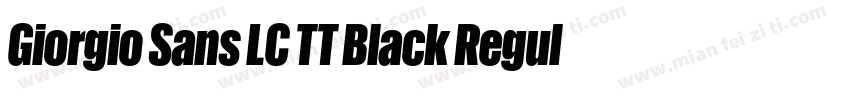 Giorgio Sans LC TT Black Regular字体转换
